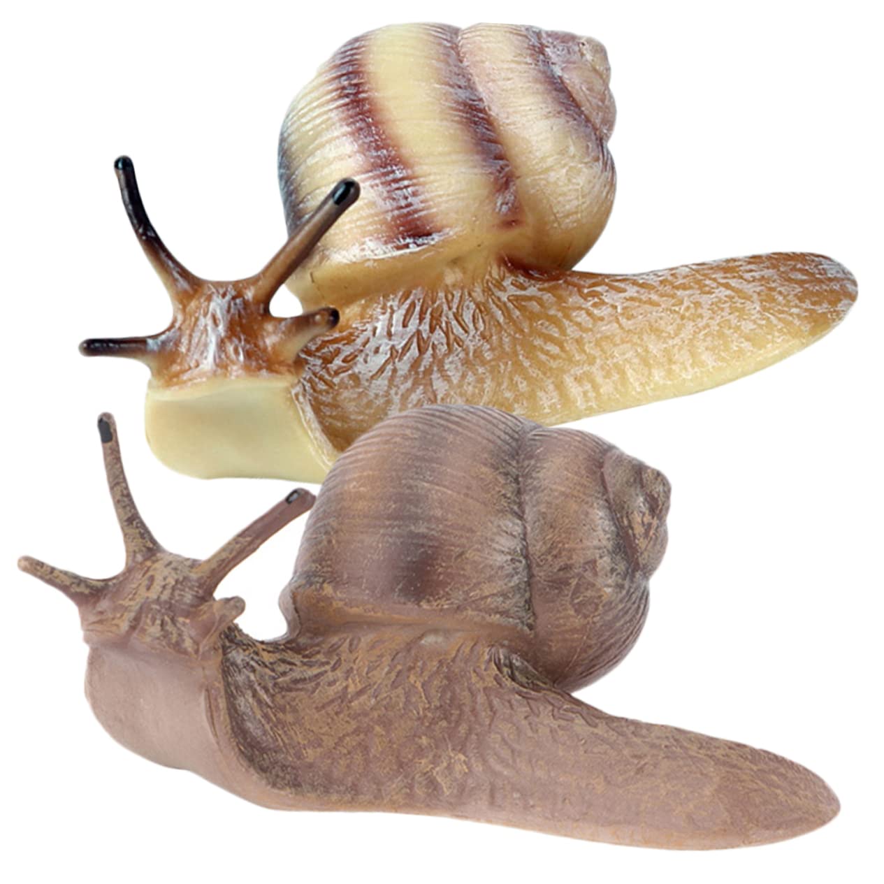 Toyvian 2pcs Snail Model Plastic Models Desktop Toys Animals for Kids Fake Snail Toys Realistic s Figurines Child Sculpture s Miniature Animals Wild Animal Kingdom Figurine