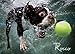 Underwater Dog: Rocco 1000 Piece Puzzle Jigsaw Puzzle 27 x 19in