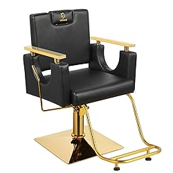 LUXMARS Heavy Duty Barber Chair, 360° Swivel