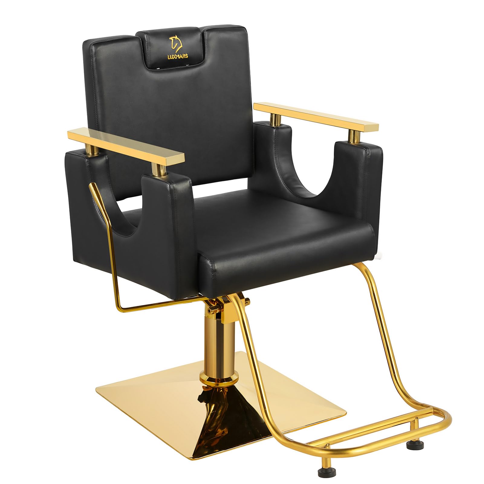 LUXMARS Heavy Duty Barber Chair, 360° Swivel
