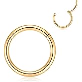 316L Surgical Steel Hinged Segment Nose Ring Hoop for Nose Septum Cartilage Helix Tragus Conch Rook Daith Lobe Lip Piercings 16G 5mm Gold 1 Pc