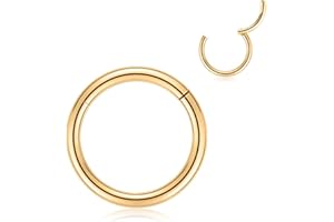 FUNLMO 316L Surgical Steel Hinged Nose Rings Hoop 20G 18G 16G 14G 12G 10G 8G 6G Seamless Piercing Rings for Nose Septum Cartilage Helix Tragus Conch Rook Daith Lobe Diameter 6mm to 14mm 1Pc