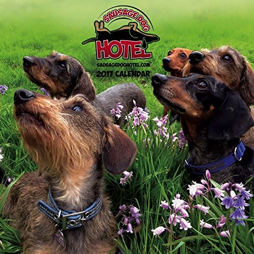 Sausage Dog Hotel 2017 Wall Calendar (Bluebells Front Cover)