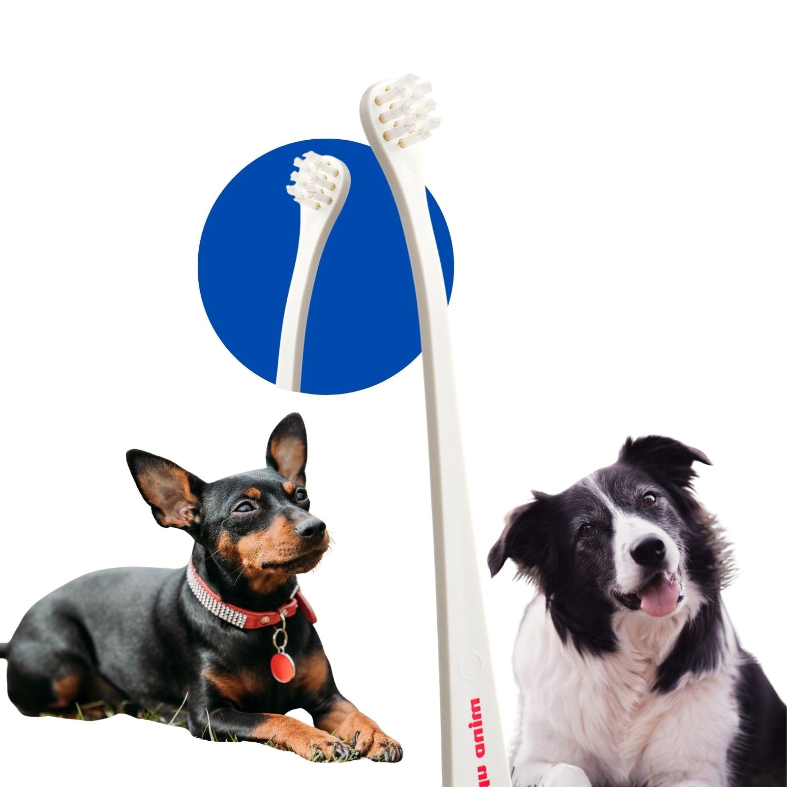 Small Head Dog Toothbrush