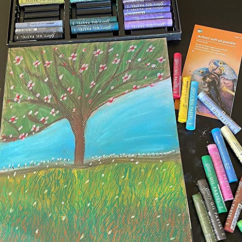 HA SHI Oil Pastels Art Supplies For Artists 48 Color set, Professional