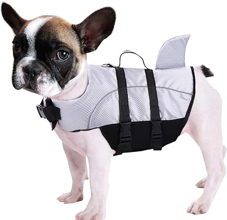 dog swim vest amazon