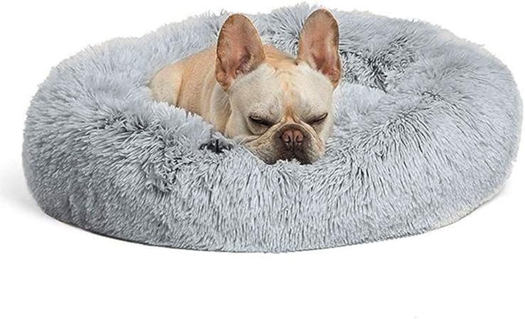 pawthread dog bed
