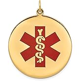 14k Yellow Gold Medical Alert Pendant with Red Star of Life Symbol and Rod of Asclepius for Men and Women, Emergency ID Charm Necklace, Unisex Health Safety Jewelry for Quick Medical Recognition