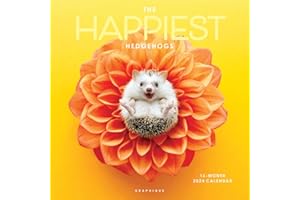 Graphique 2024 Happiest Hedgehogs Wall Calendar | 12” x 12” | Thick Paper | Home & Office Organizer | Large Monthly Grid | 3 Languages & Marked Holidays | 4 Month Preview Page for 2025
