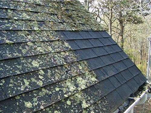 Wash Safe Industries ROOF WASH Premium Eco-Safe and Organic Roof Cleaner, 40 lb Container