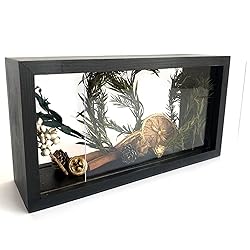 Shadow Box Frame,Wooden Double-Sided