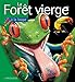La Forêt vierge by 