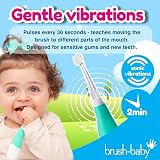 Brush-Baby BabySonic Kids Electric Toothbrush Teal 0-36 Months LED 2-Min Timer view 5