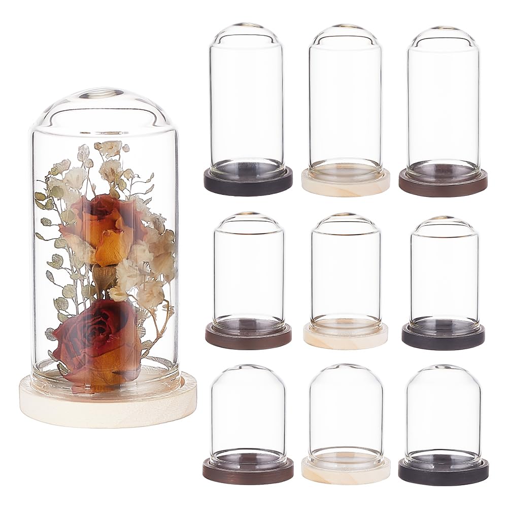 BENECREAT 15 Sets Mini Clear Glass Cloche Dome (40 50 60mm) Glass Display Cloche Dome with 3 Colors Solid Wood Base Cloche Bell Jar for Flower Decorations Crafts — image 1
