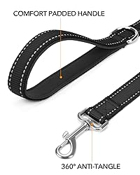 Taglory Dog Leash for Small Dogs, Double-Sided