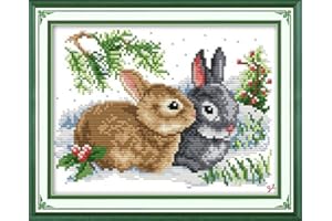 Stitchmelody 14CT Counted Cross Stitch Kits,DMC Unprinted Pattern Embroidery Set Needlework-Lucky Rabbitst 10''×7.5''
