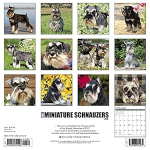 Just Minature Schnauzers 2018 Calendar