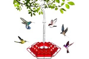 WMZNNGX 30 Feeder Ports Hummingbird Feeder with Perch and Built-in Ant Moat, Easy to Clean, Outdoor Hanging Yard Garden Decoration (1PCS)