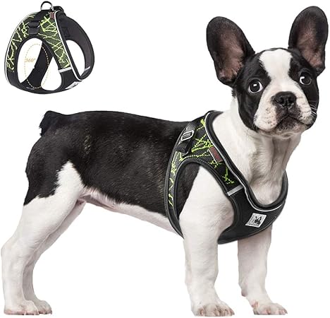 superman dog harness