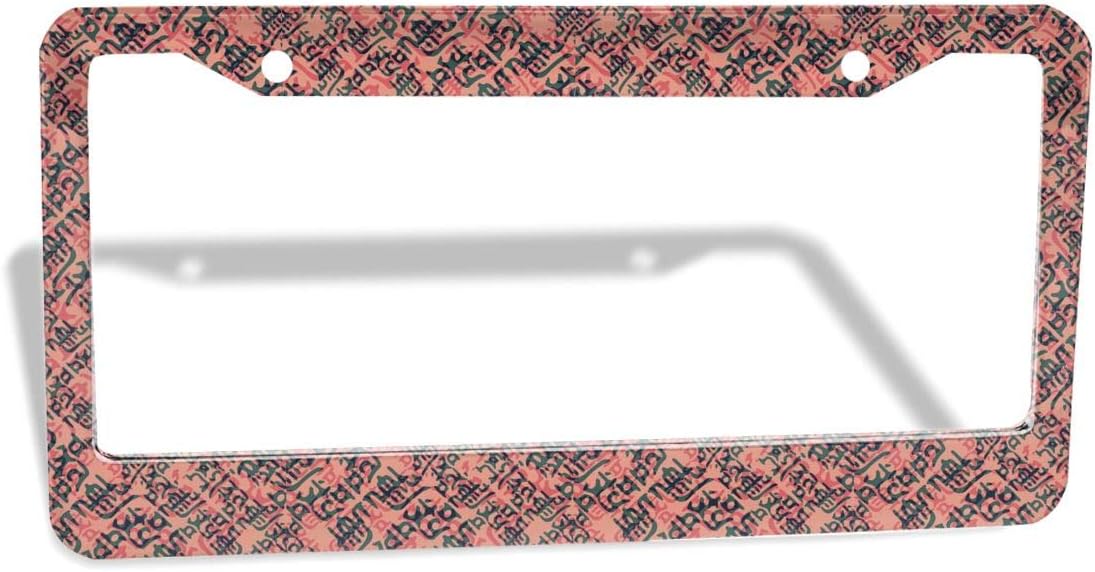 WINCR Custom License Plate Frames Vintage Digital Aluminum