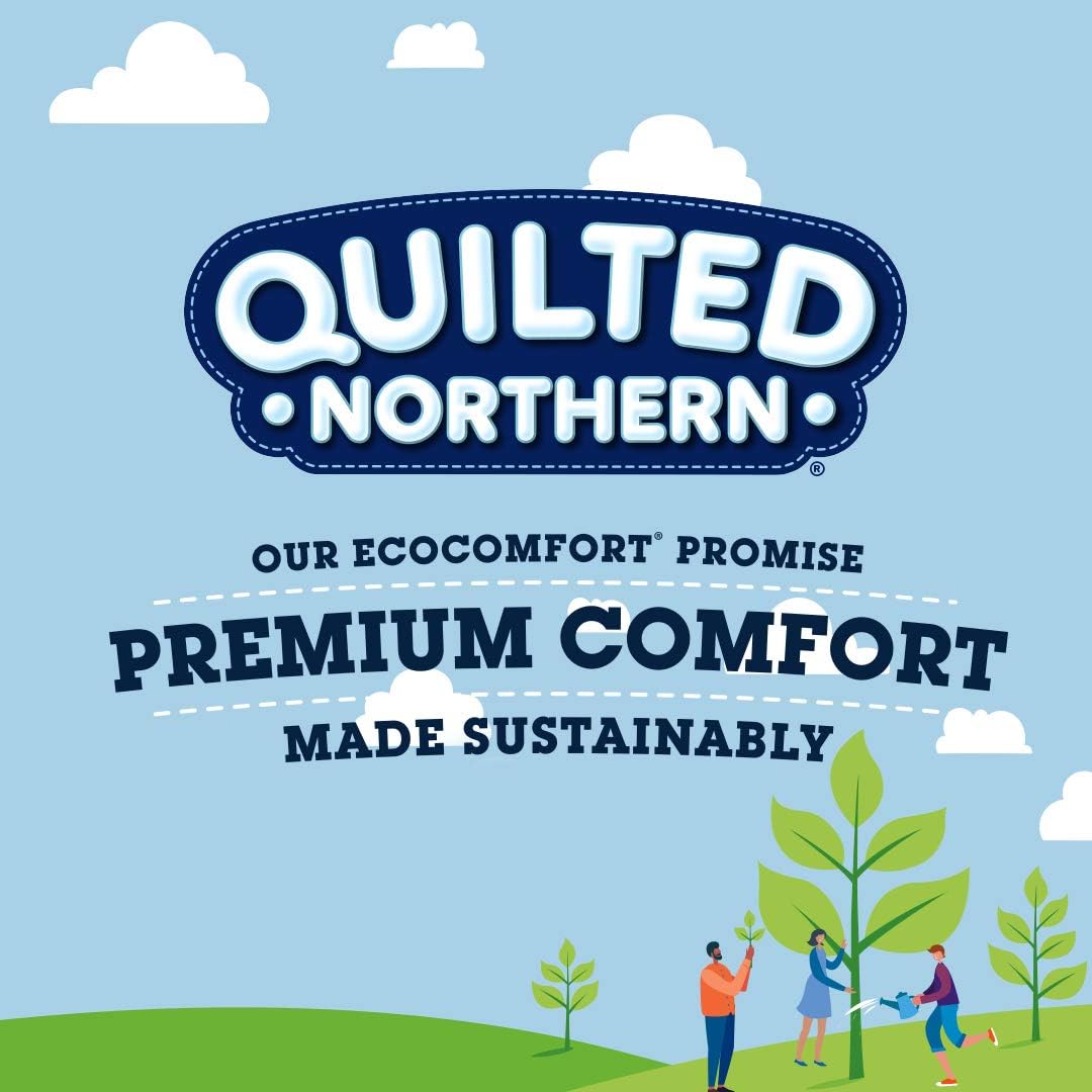 Quilted Northern Ultra Soft and Strong Toilet Paper, 12 Mega Rolls = 48 Regular Rolls, 328 2-Ply Sheets Per Roll: Health & Personal Care