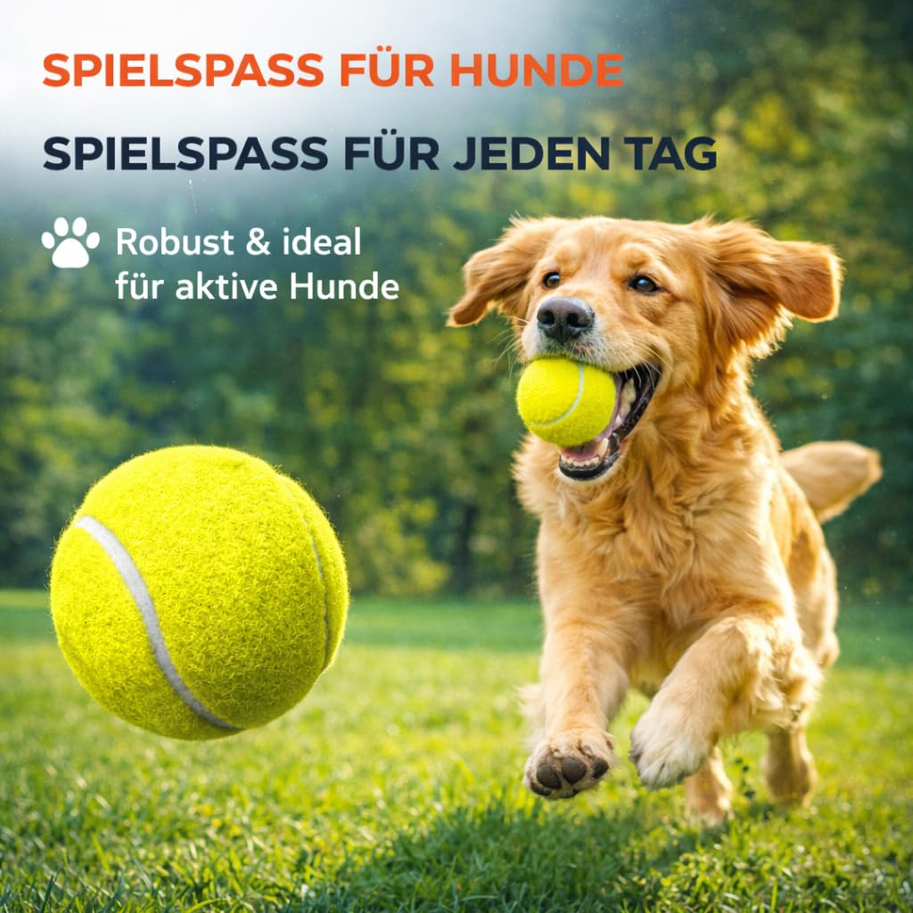 ATHLEJOY 6X Tennisbälle- gelb für Training & Wettkampf mit Tragetasche für Tennis - Hunde - Waschmaschine 7