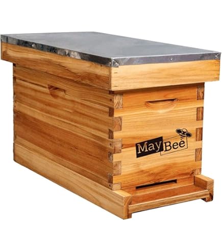 Amazon.com: Bee Mating Box Nuc Queen Bee Breeding Box Beekeeper