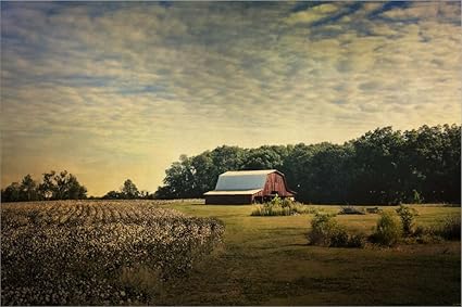 Amazon Com Red Barn At The Cotton Field By Jai Johnson Laminated