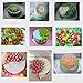 ALBEDO Cake Decorating Tips (23-Piece Tulip Set) - Stainless Steel Russian Piping Nozzles - Create Buttercream Frosting Flower Blossoms & Sweet Confections for Weddings and Birthdays