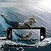 FITFORT iPhone 8 Case Waterproof,IP 68 Certified Shock Resistant Heavy Duty Protection Full Body with Built-in Screen Protector Spider Series Cover for iPhone 7-Black