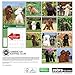 American Kennel Club Miniature Poodles 2018 Wall Calendar