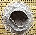 Bysweet Baby Girl Bloomers Diaper Covers Toddler Lace Flower Skirts White and Gray 2 Pack (0-6M, Gray White)