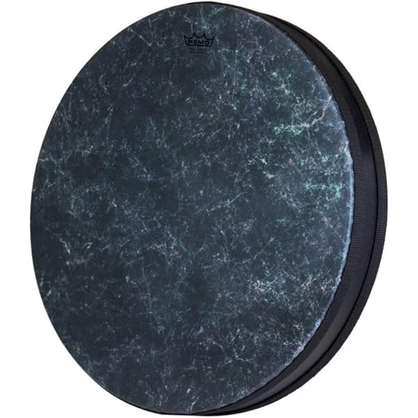 Amazon.com: Remo Ocean Drum - Fish Graphic, 12