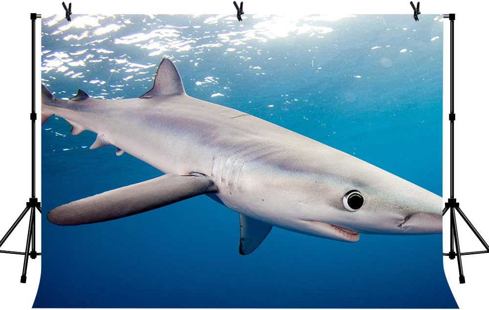 LYLYCTY 7x5ft Shark Background White Shark Blue Water for The Aquarium Photography Background Marine Life Film Photography Background LY255