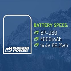 Wasabi Power Battery for Sony BP-U60 and Sony
