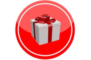 Gift List Diary - Christmas Present Organizer