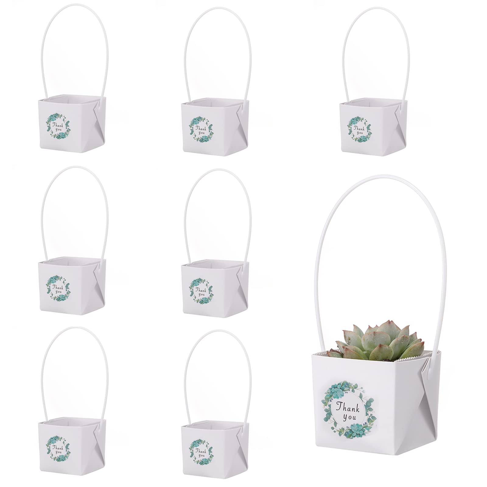 Photo 1 of NITHECON 40pcs Thank You Succulents Wraps [NOT Include Plants and Pots]-[Fits 2 Inch Pots] Succulent Gift Wraps bags Decoration Sleeve Succulent for Wedding Baby Shower Favors Ideas,White