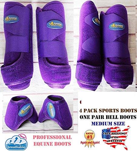 professional equine boots