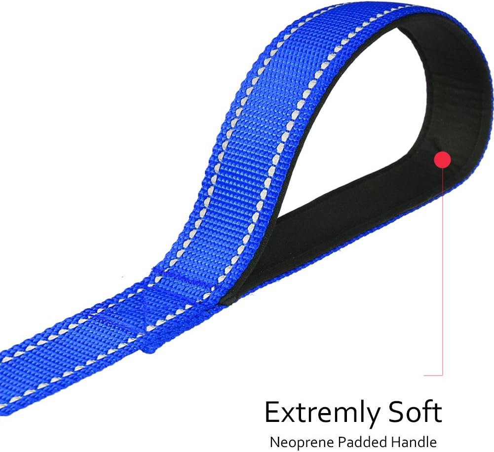 Taglory Dog Leads for Medium Large Dogs, Royal Blue, 180x2.5 cm (Pack of 1) - Image 4