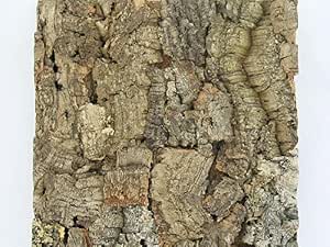 Amazon.com: Cork Wall Tile - Natural Cork Top 12x12 Inches (Single Pack ...