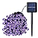 Qedertek Solar String Lights, 39ft 100 LED String Lights Solar Powered for Outdoor, Home, Lawn, Wedding, Patio, Party and Holiday Decorations (Purple)