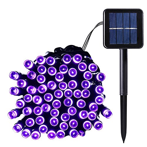 Qedertek Solar String Lights, 39ft 100 LED String Lights Solar Powered for Outdoor, Home, Lawn, Wedding, Patio, Party and Holiday Decorations (Purple)