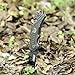 Coleman Black Folding Knife, Liner Lock Assisted Opening Tactical Hunting Knife, 4.5 Inch Closed - CM1006