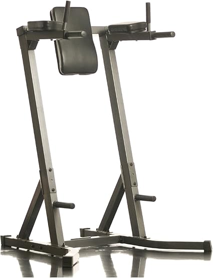 Amazon Com Body Max Dlr670 Dip Leg Raise Dip Stands Sports Outdoors