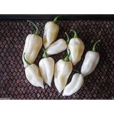 Bhut Jolokia Ghost Chile Pepper Seeds 10+