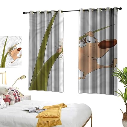 Amazon Com Custom Curtain Hedgehog Girl Room Blackout Curtain