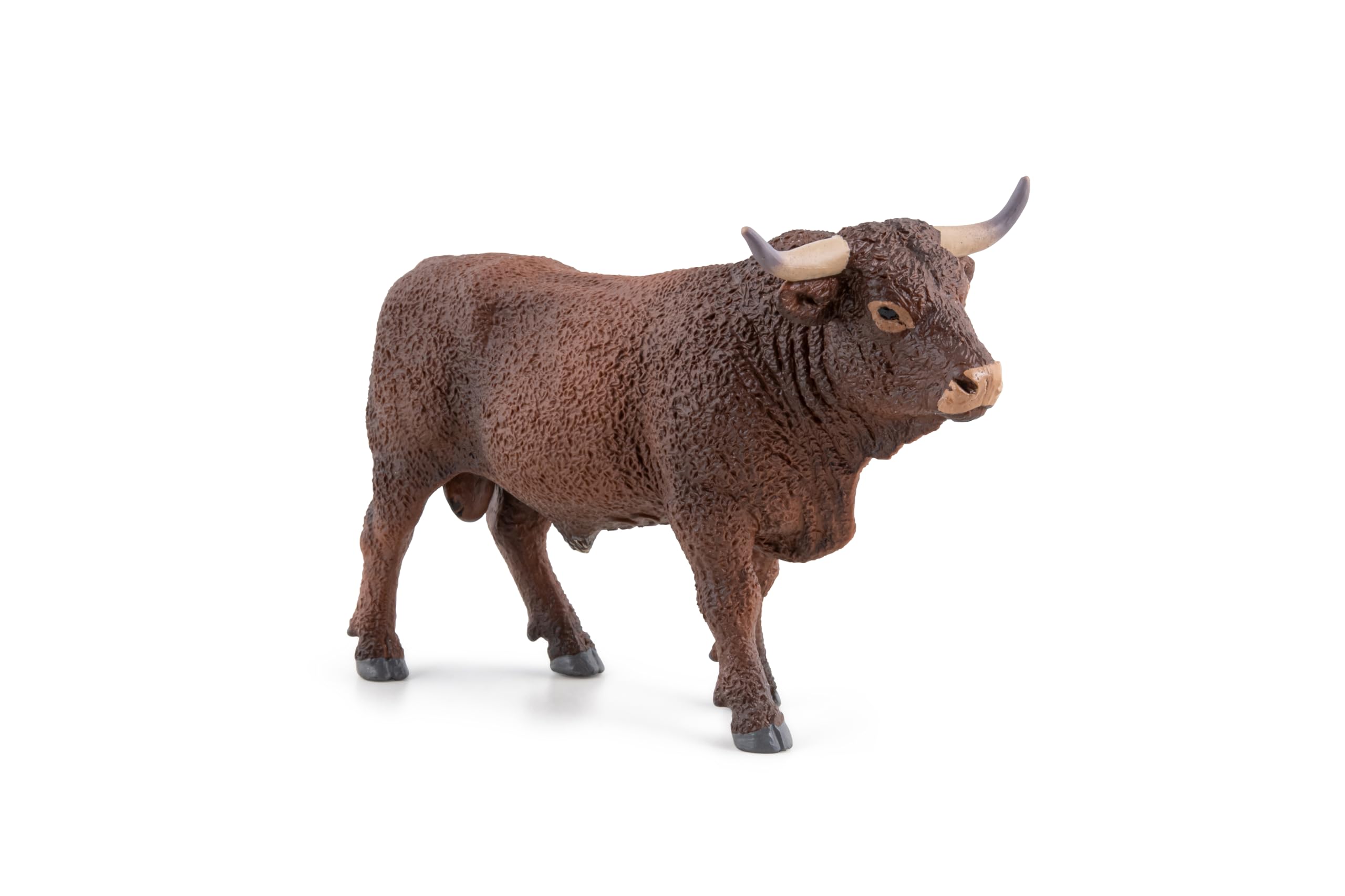 Papo - Realistic Salers Bull Figure - Ages 3+ - Farm Life Collection - Educational Play Farm Animals - Gift Idea Toy for Girls and Boys