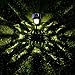 hosus Solar Pathway Lights Outdoor OR Solar Lights Outdoor OR Solar Garden Lights OR Solar Landscape Lights or Solar Lights for Yard/Patio/Garden/Walkway/Driveway (6)