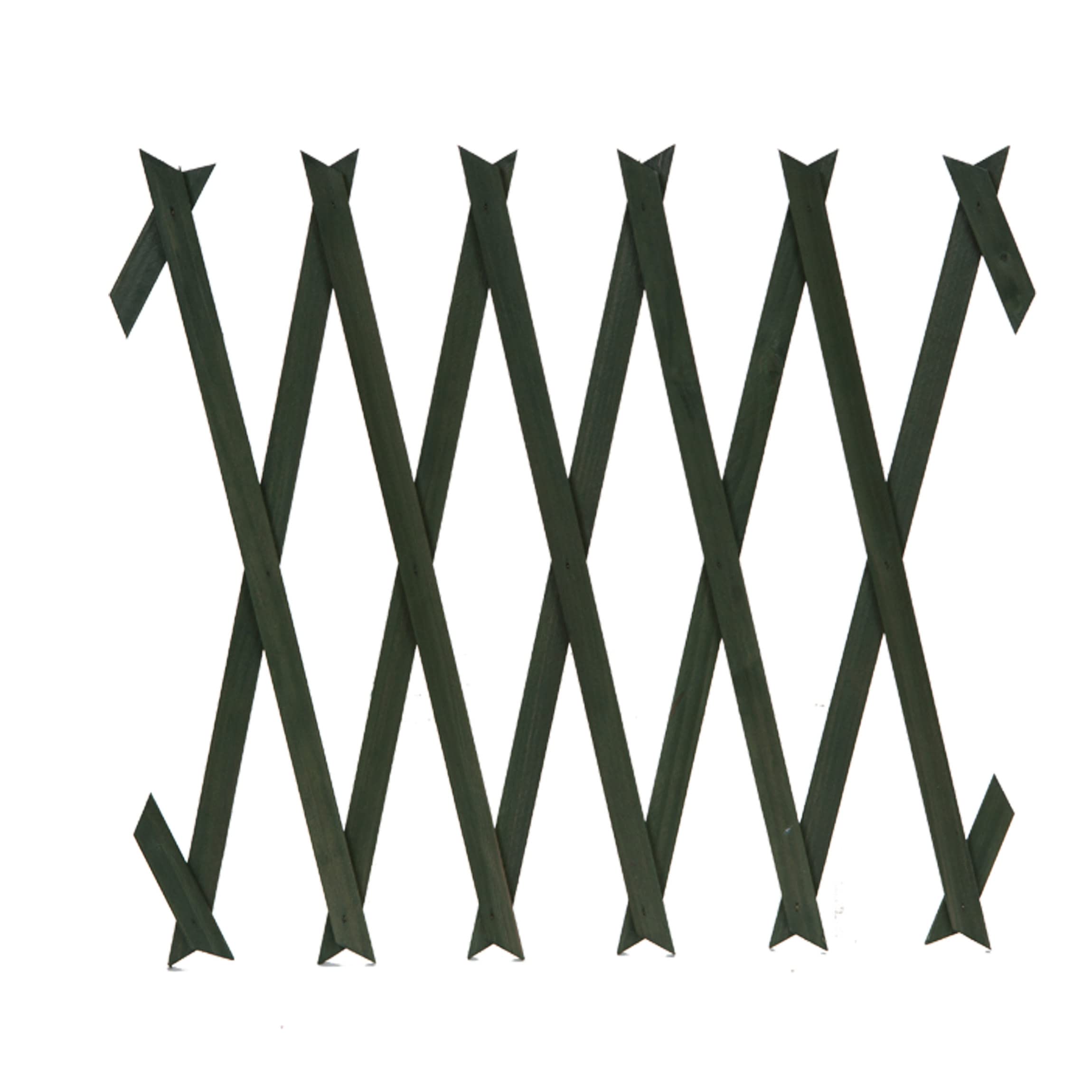 VFM - Expanding Wooden Trellis 150cm X 30cm - Roots & Shoots