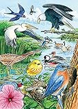 North American Birds, A 35-Piece Tray Puzzle by Cobble Hill
